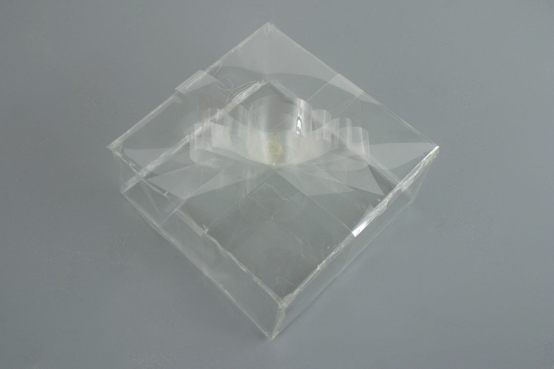 Transparent Present, 2007, acetate, 9 x 10 x 10 inches / 23 x
		  25 x 25 cm