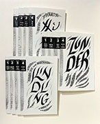 Cover of 12 zines in English, German, and Japanese, with expressive calligraphy reminiscent of flames