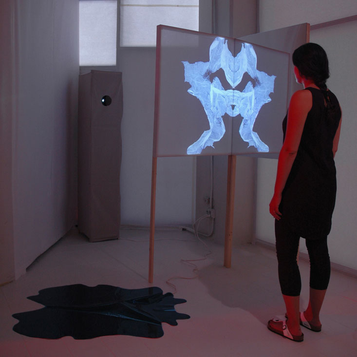 Installation view of Hide and Projection