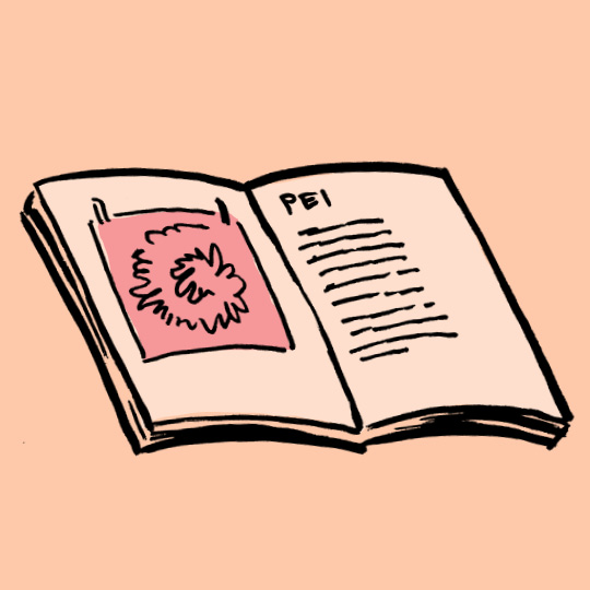 booklet with bandana and text